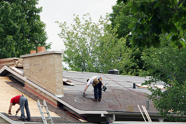 Best Local Roofing Companies  in Silver Springs, NV