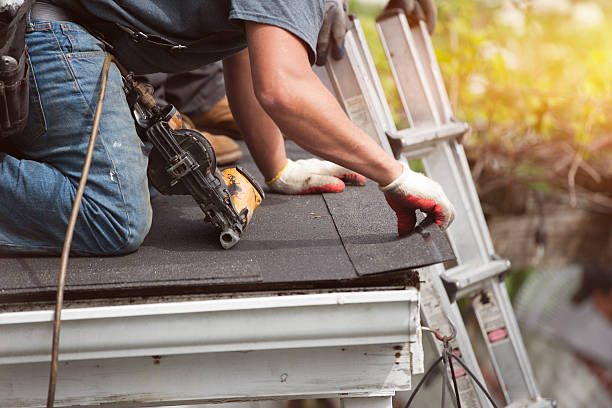 Best Roof Maintenance Services  in Silver Springs, NV